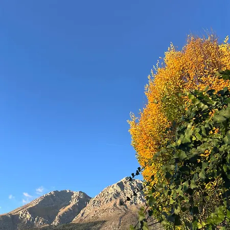 Σπίτι διακοπών Casa Albe