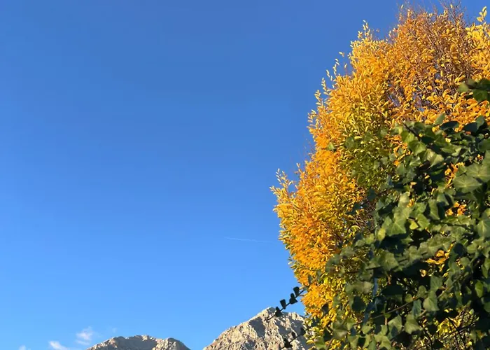 בית נופש Casa Albe